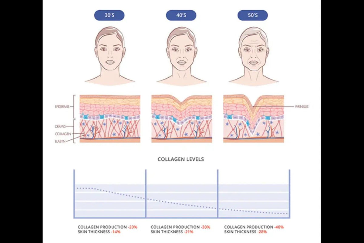 collagen-and-its-effects-on-the-skin-and-wrinkles-450664_1200x1200.webp?v=1727799545