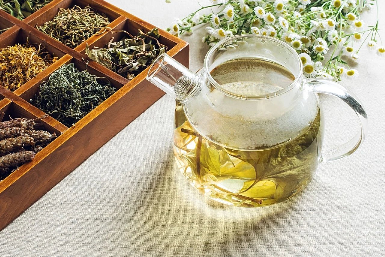 Tea’s Role in Boosting Immunity: Baraguz’s Top Picks for Staying Healthy - Baraguz