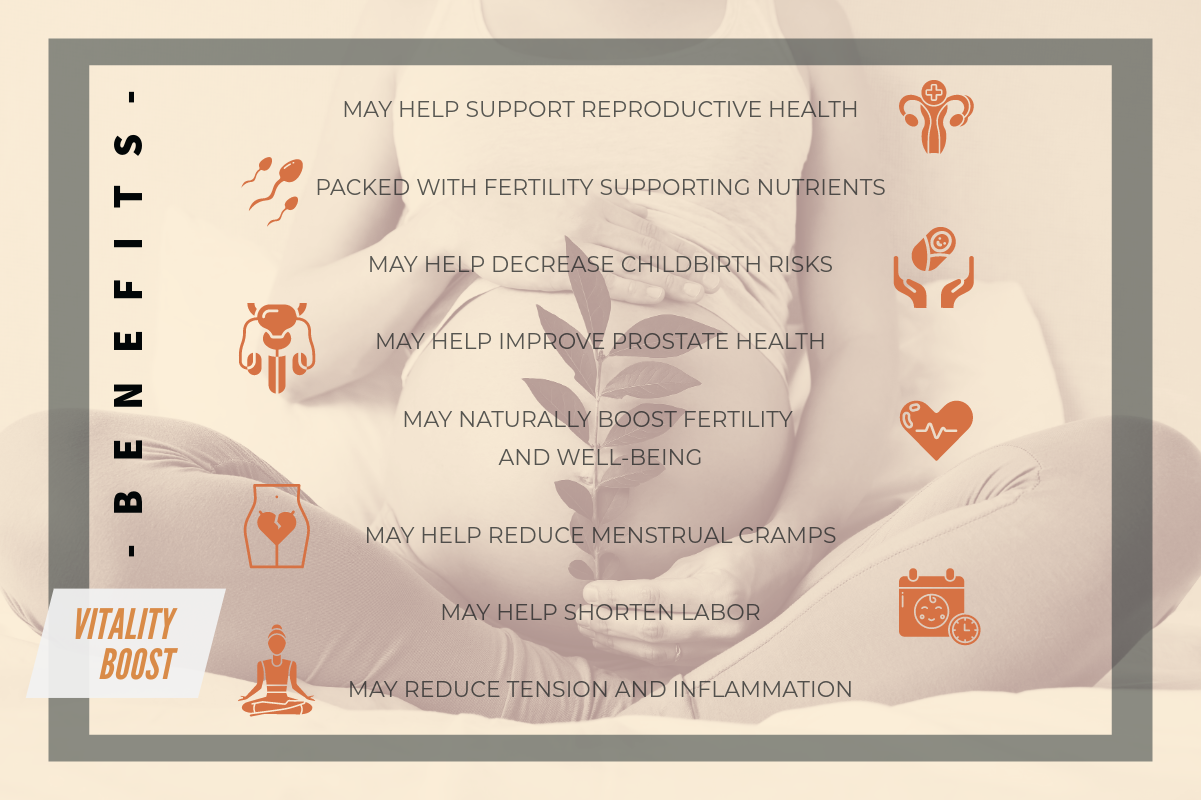 Baraguz FertiliT - Vitality Boost / Fertility Support (30 Servings) - AVAILABLE NOW