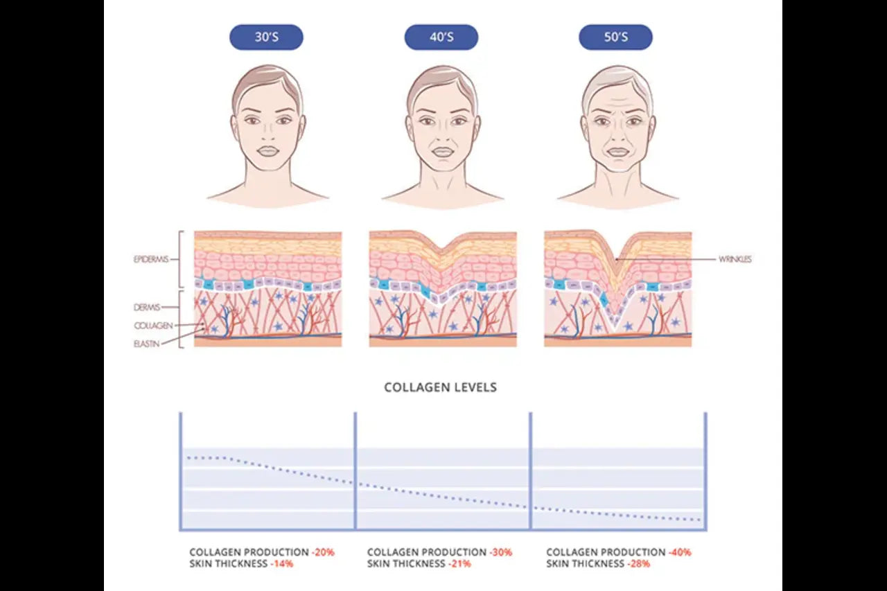 Collagen and its effects on the skin and wrinkles