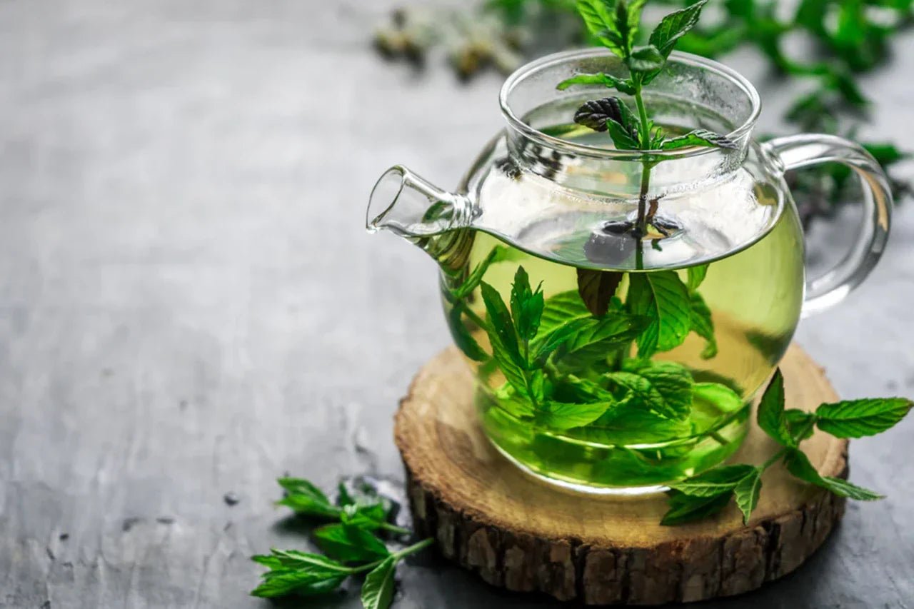 The Role of Tea in Gut Health: How Baraguz Teas Support Digestion - Baraguz