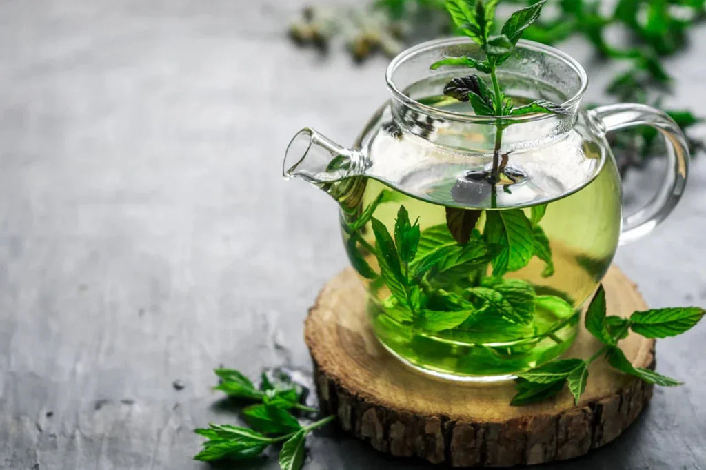 The Role of Tea in Gut Health: How Baraguz Teas Support Digestion - Baraguz