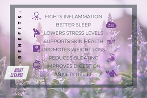 Baraguz SlimT Night Cleanse (28 day detox) - Baraguz